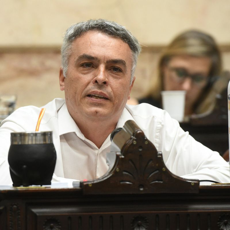 Freno legislativo: Paul&oacute;n exige que el ingreso al Board of Peace pase por el Congreso