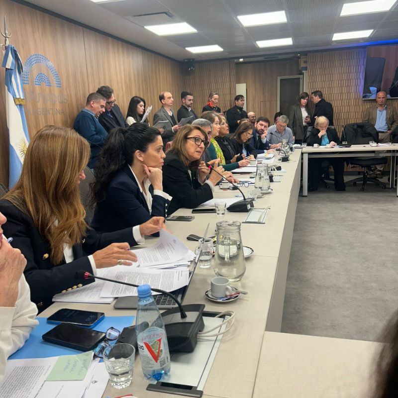EL CONGRESO AVANZA PARA ESCLARECER LA CRISIS SANITARIA POR EL FENTANILO CONTAMINADO